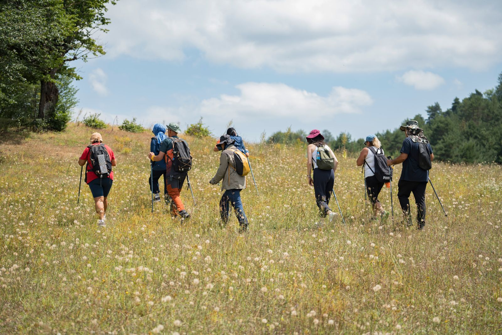 A group walking a meadow trail together on a bright day