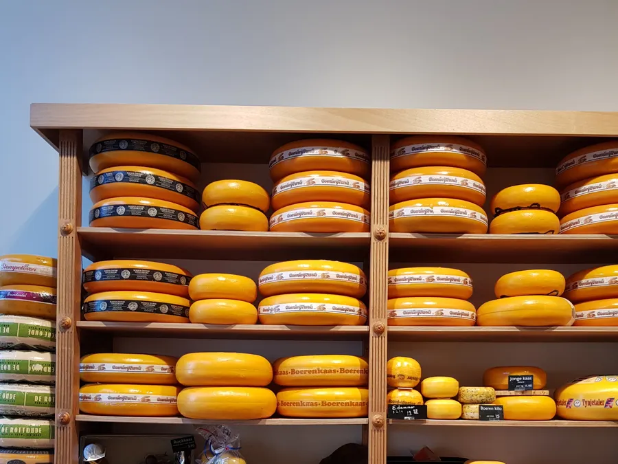 Wheels of Dutch cheese stacked on wooden shelves