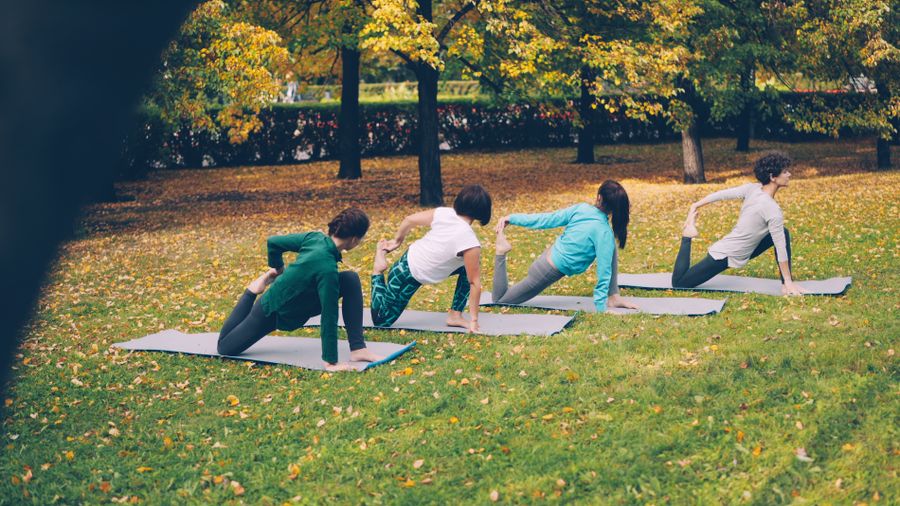 Adults doing yoga on mats outdoors in a park